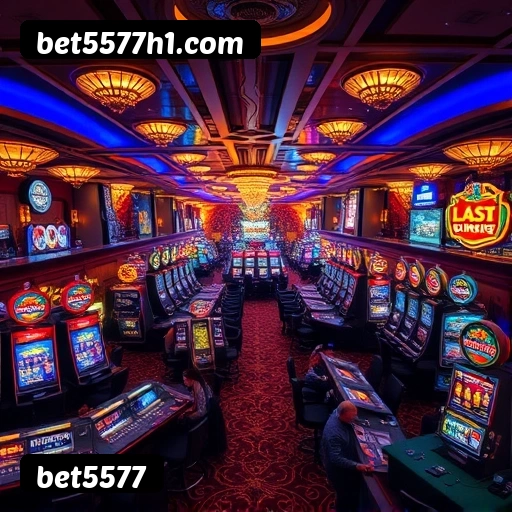bet5577 Belo Horizonte - VIP Casino