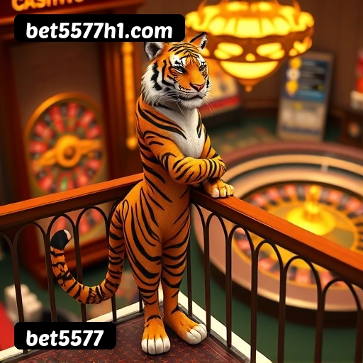 bet5577 Salvador - Studio Tour