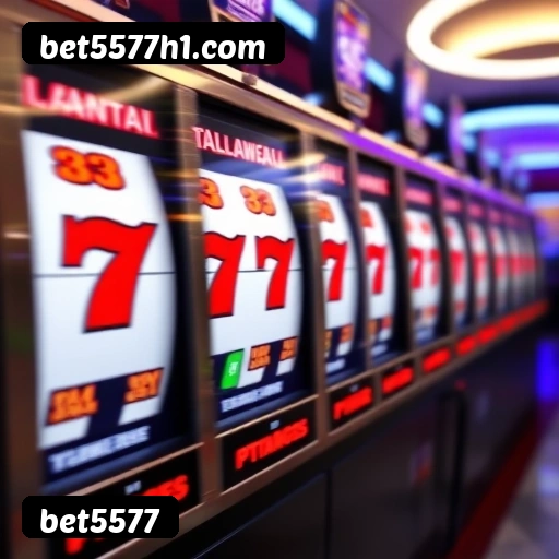 bet5577 Belo Horizonte - Basketball